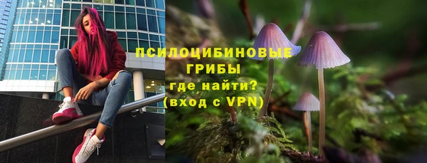 трава Новокубанск