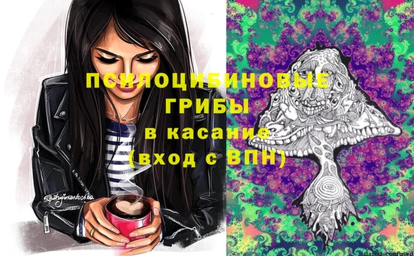 трава Новокубанск