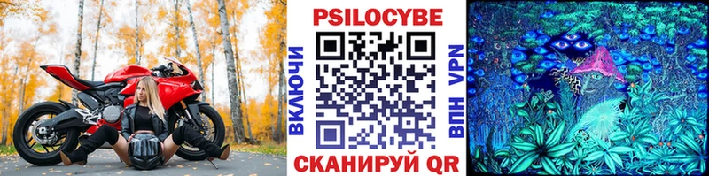 Галлюциногенные грибы Psilocybe МЕГА зеркало Красноуральск